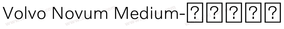 Volvo Novum Medium字体转换